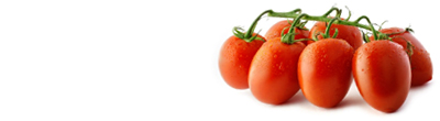 Tomaten Konserven